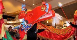 Chinese Music & Culture Workshops