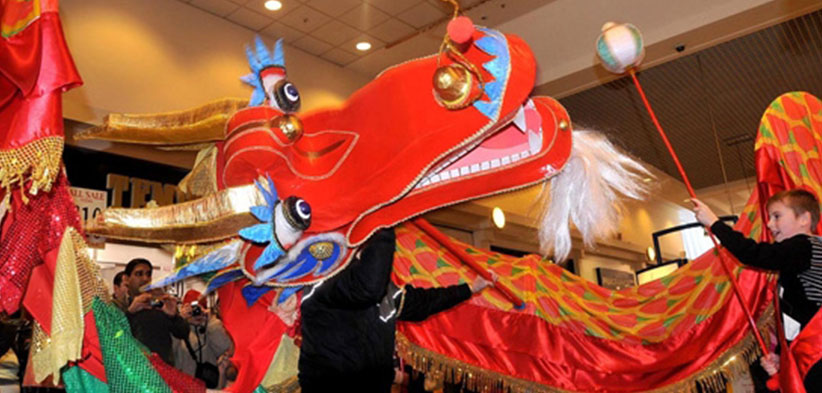 Chinese Music & Culture Workshops